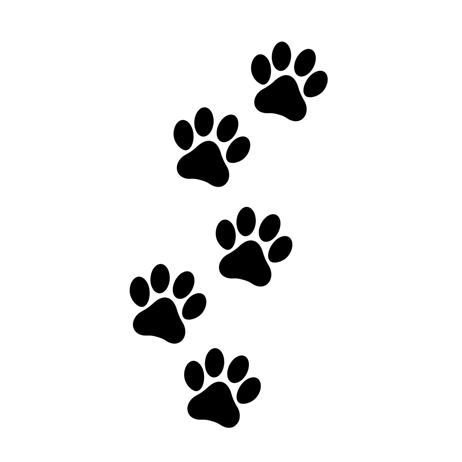 paws